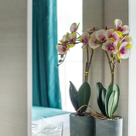 酒店 хотел панорама 2*