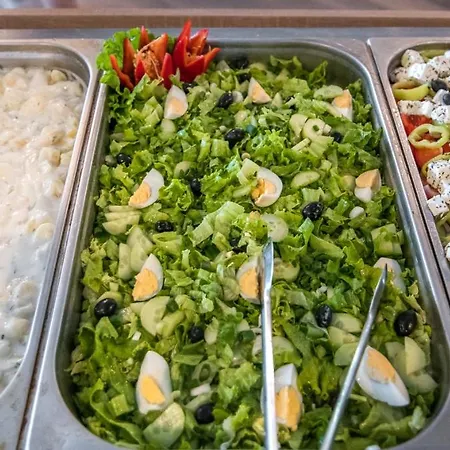 酒店 хотел панорама 2*