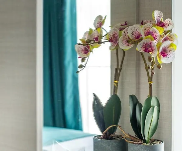 Ξενοδοχείο хотел панорама 2*